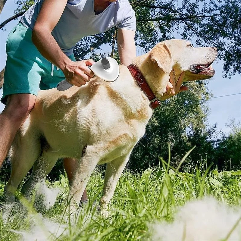 Escova Auto-Limpante para Cães e Gatos