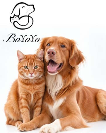 BoYoYo Brinquedo Interativo Quebra-Cabeça para Cães – Estimulação Mental Antiestresse | Amarelo, Azul e Rosa
