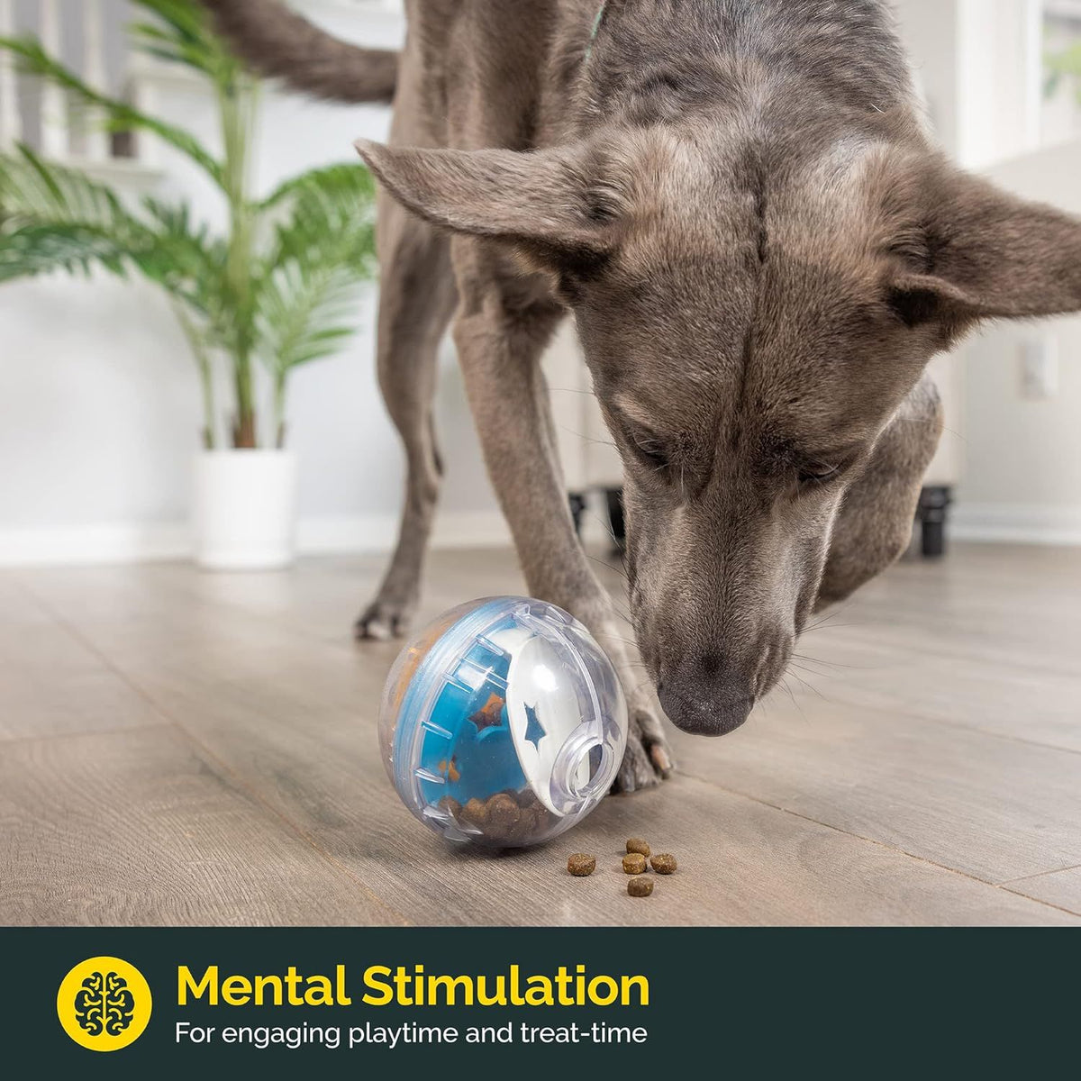 Bola de Tratamento IQ para Cães | Dispensador Interativo de Petiscos e Ração — Brinquedo Anti-Estresse e Anti-Tédio