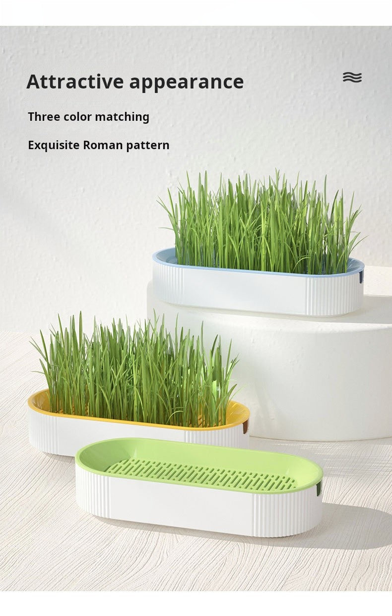 Kit Grama Hidropônica para Gatos + Catnip – Plantio Fácil em Casa ??
