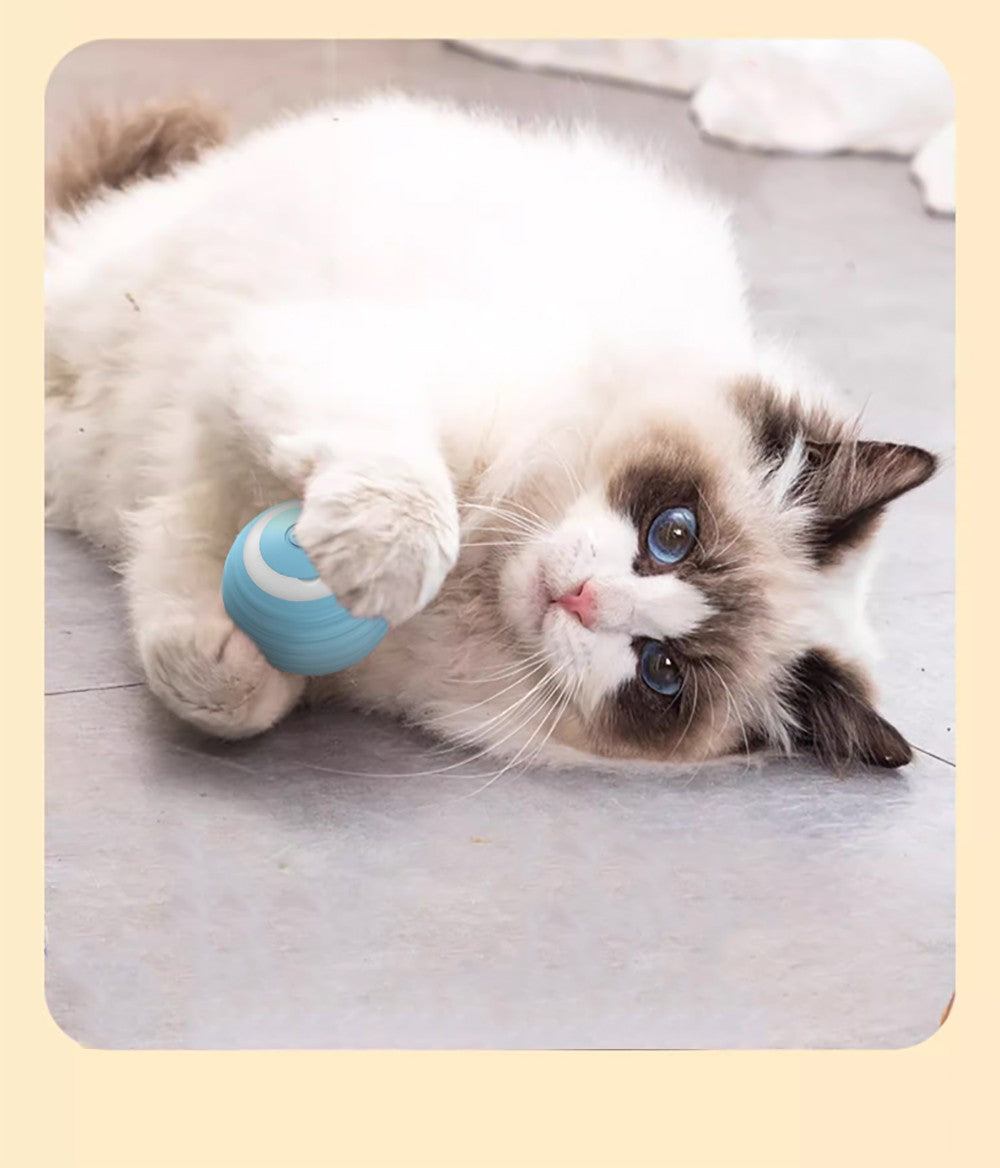 Bola Interativa Elétrica para Gatos | Brinquedo Automático Rolamento | Silicone Atóxico