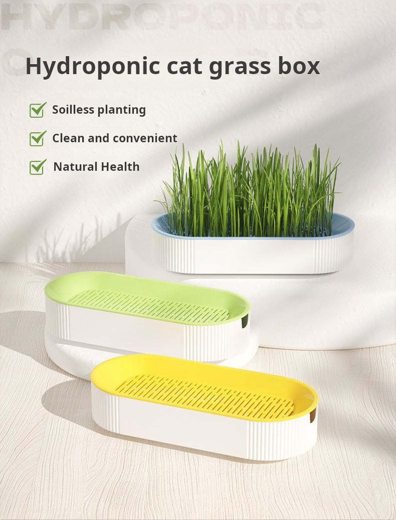 Kit Grama Hidropônica para Gatos + Catnip – Plantio Fácil em Casa ??