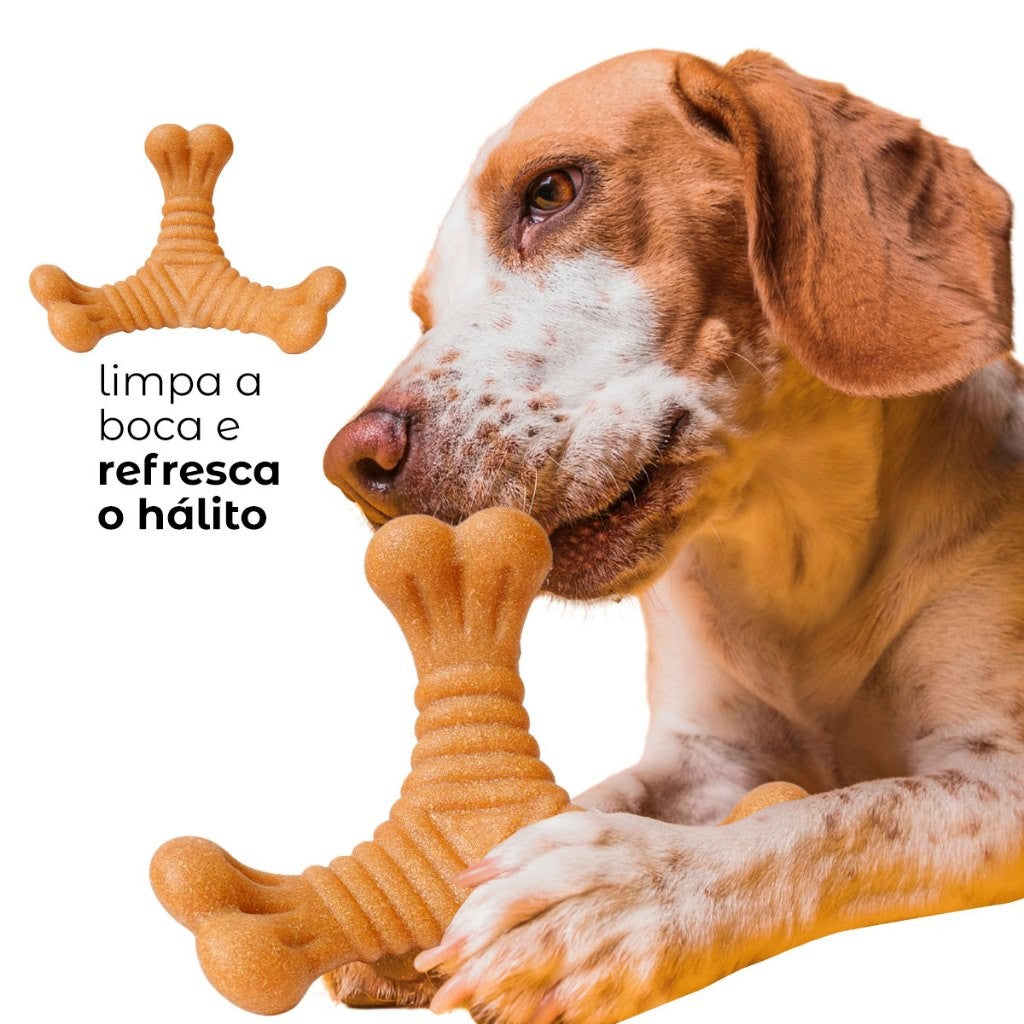 Osso Mordedor Massageador para Cães e Gatos — Brinquedo Anti-Stress Resistente ?