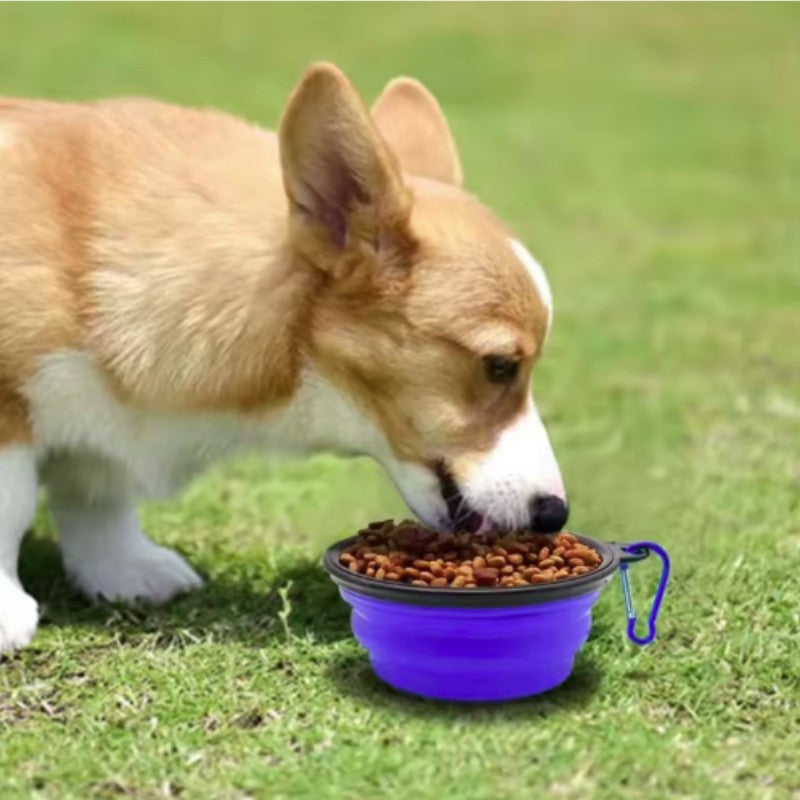 Tigela Portátil Dobrável de Silicone para Pets — Comedouro e Bebedouro de Viagem para Cães e Gatos