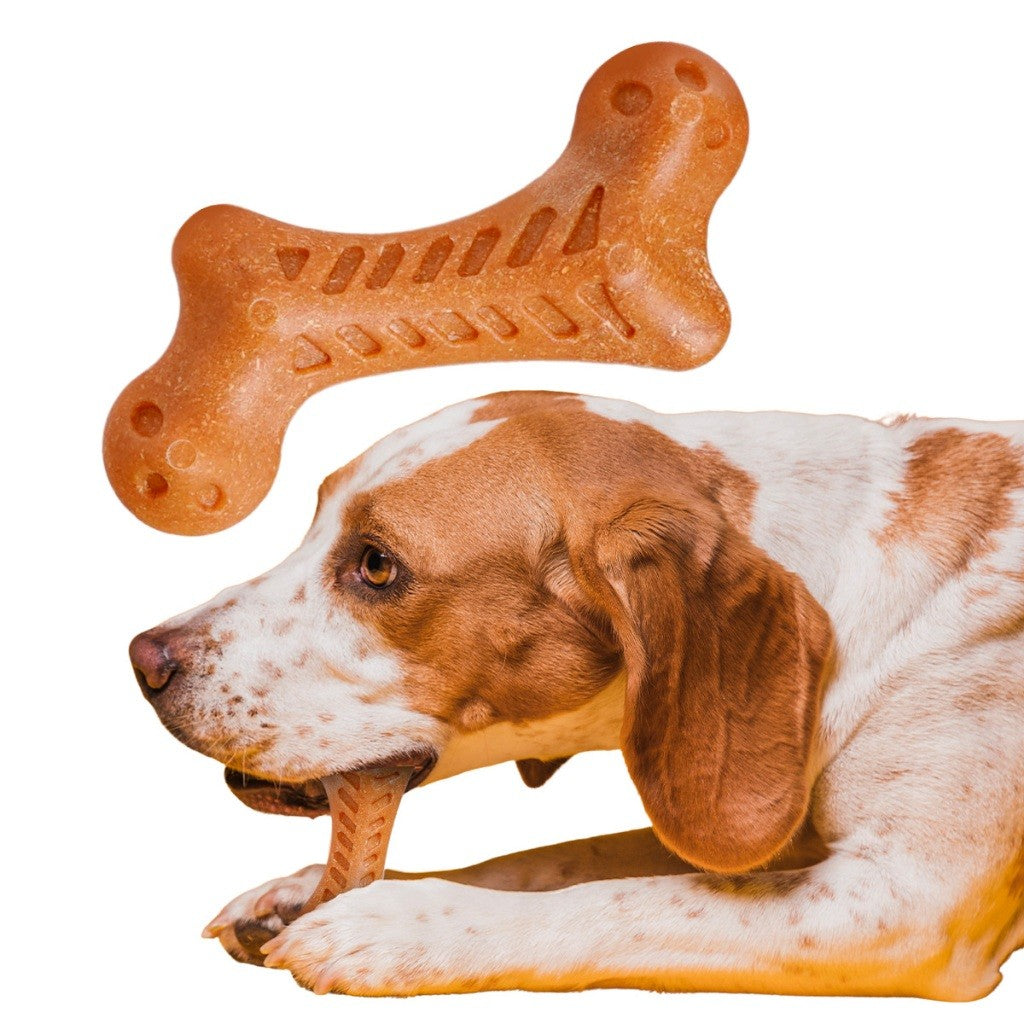 Osso Mordedor Massageador para Cães e Gatos — Brinquedo Anti-Stress Resistente ?