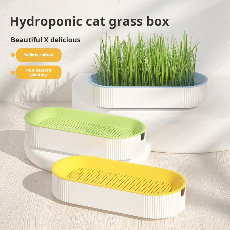 Kit Grama Hidropônica para Gatos + Catnip – Plantio Fácil em Casa ??