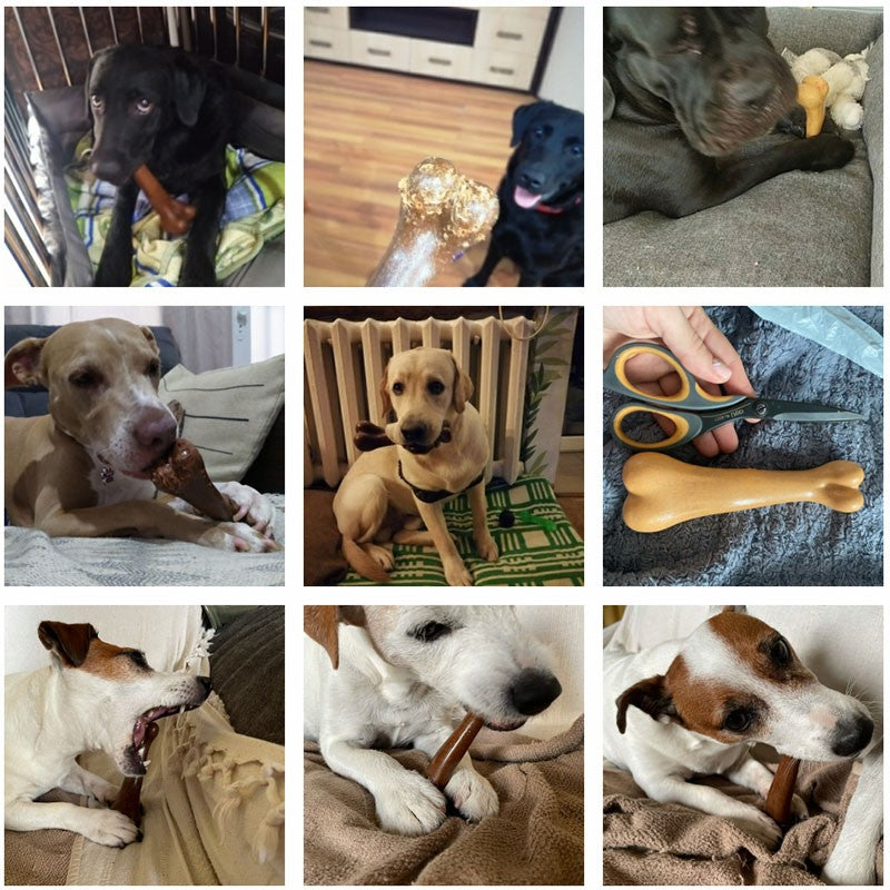 Osso Mastigável para Cachorro Resistente – Brinquedo Dental Filhote e Adulto P/M/G