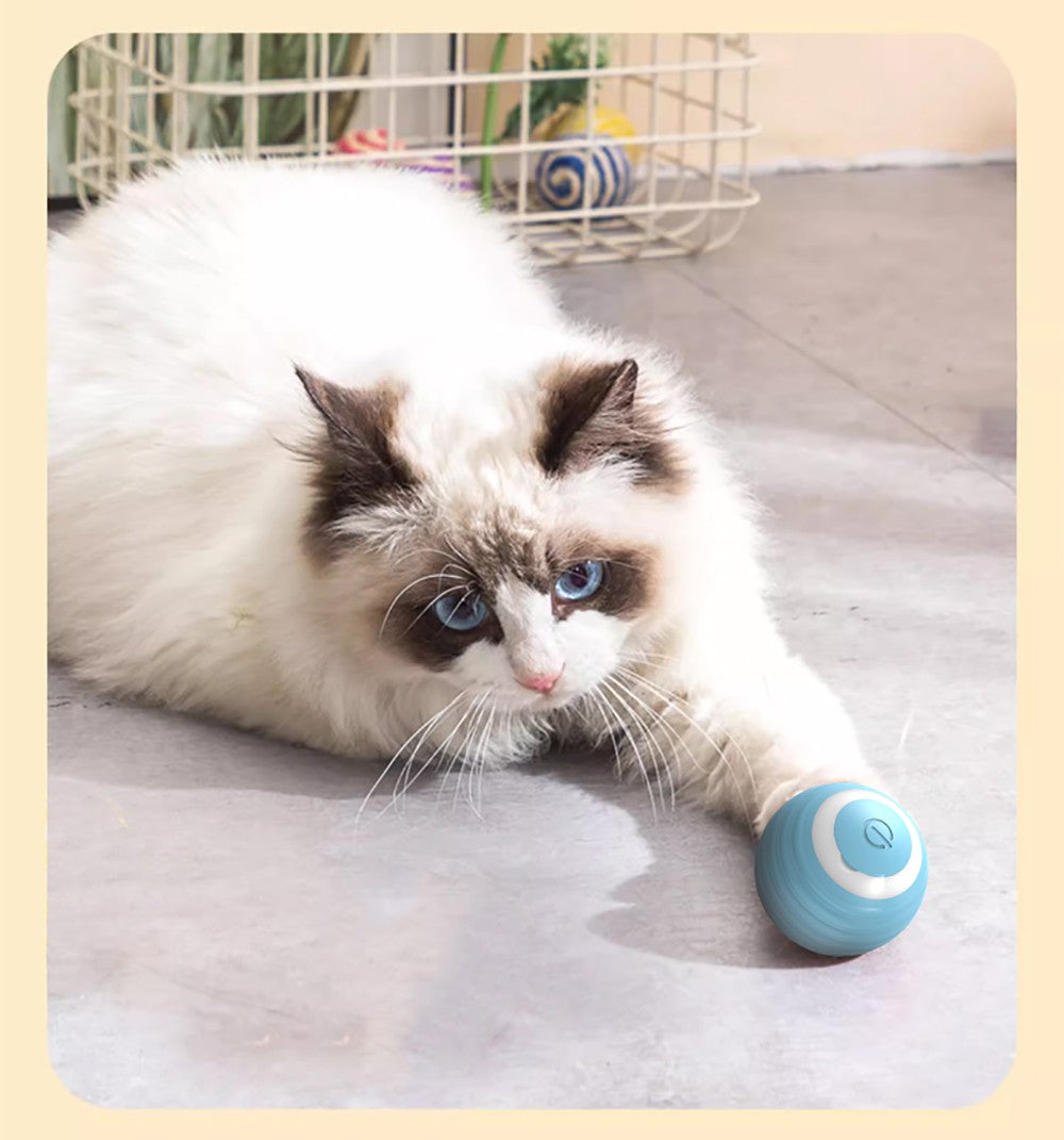 Bola Interativa Elétrica para Gatos | Brinquedo Automático Rolamento | Silicone Atóxico