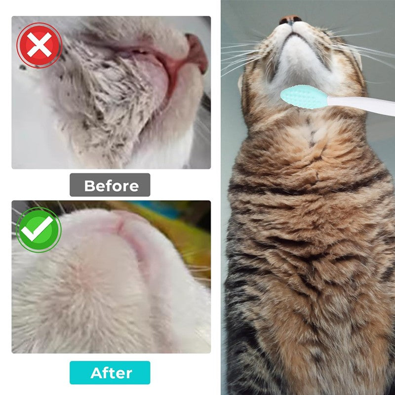 Escova Esfoliante para Acne no Queixo de Gato | Higiene e Cuidado Diário — Kit 1 ou 3 Peças