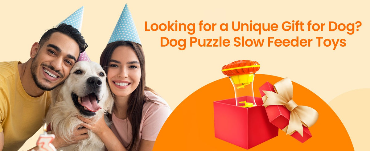 BoYoYo Brinquedo Interativo Quebra-Cabeça para Cães – Estimulação Mental Antiestresse | Amarelo, Azul e Rosa