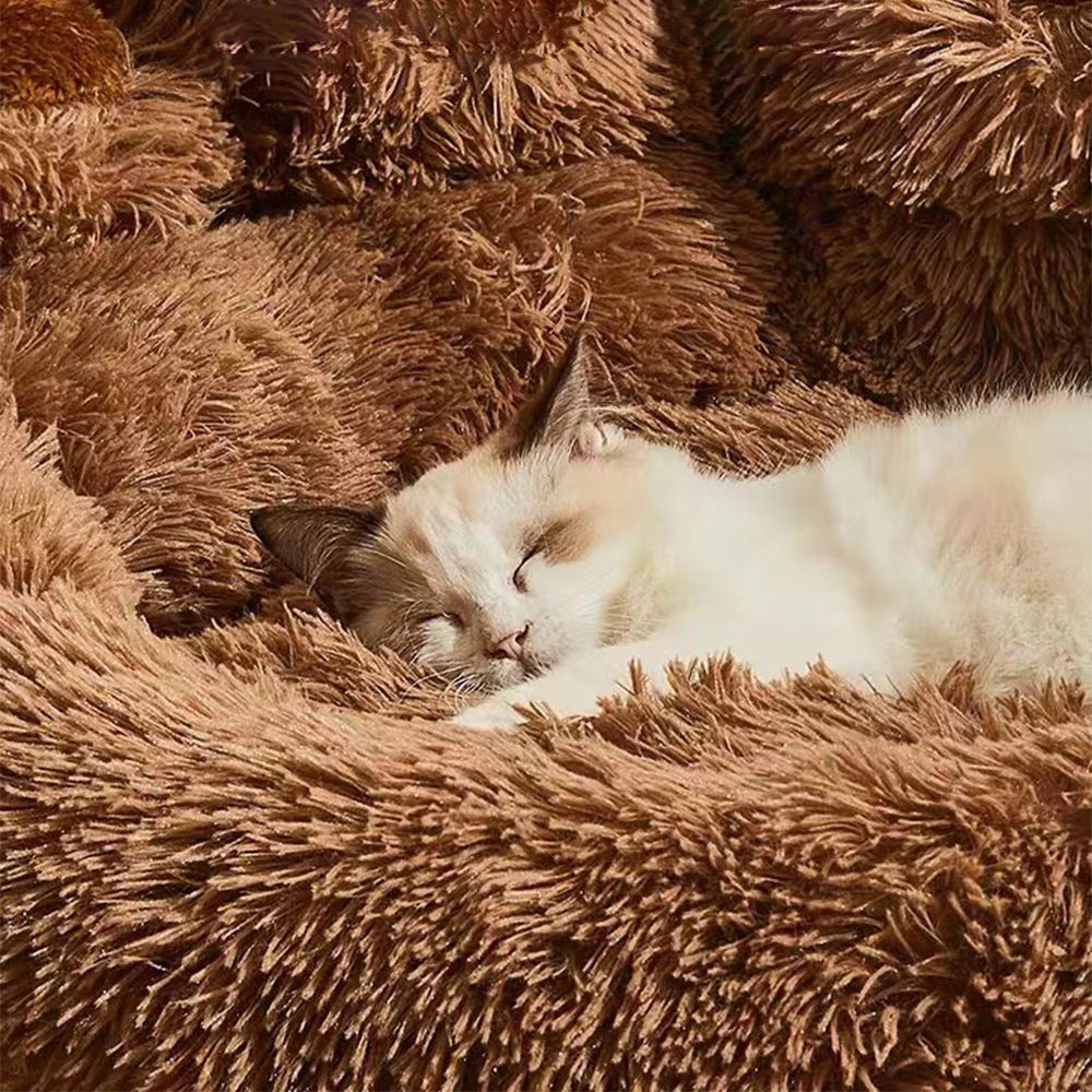 Cama Pet Ninho de Pelúcia — O Cantinho de Conforto que Seu Pet Merece