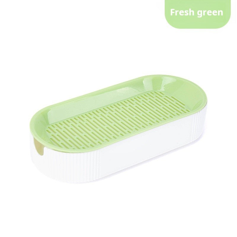Kit Grama Hidropônica para Gatos + Catnip – Plantio Fácil em Casa ??